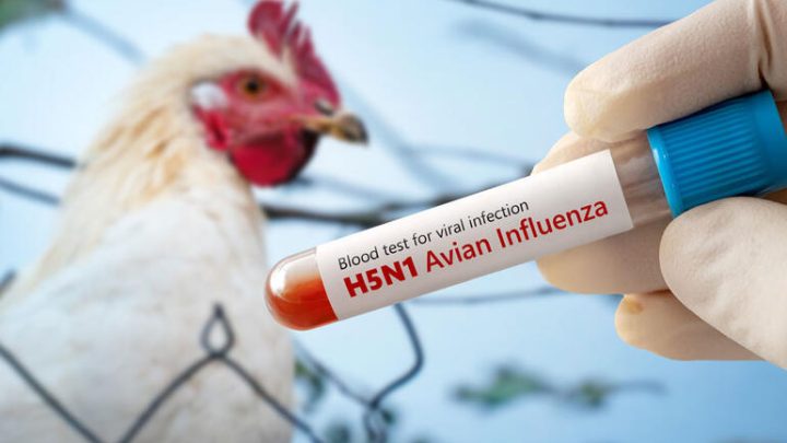 flu
