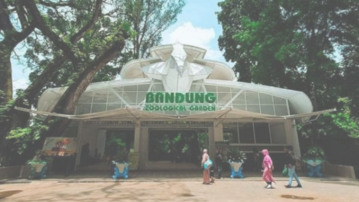 kebun binatang