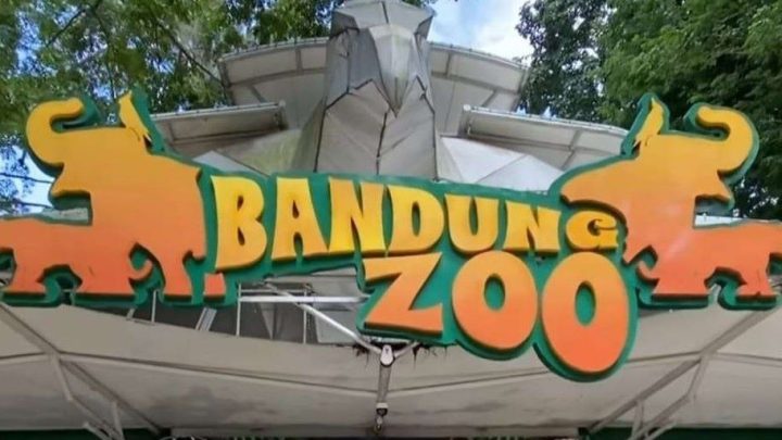 bandung zoo