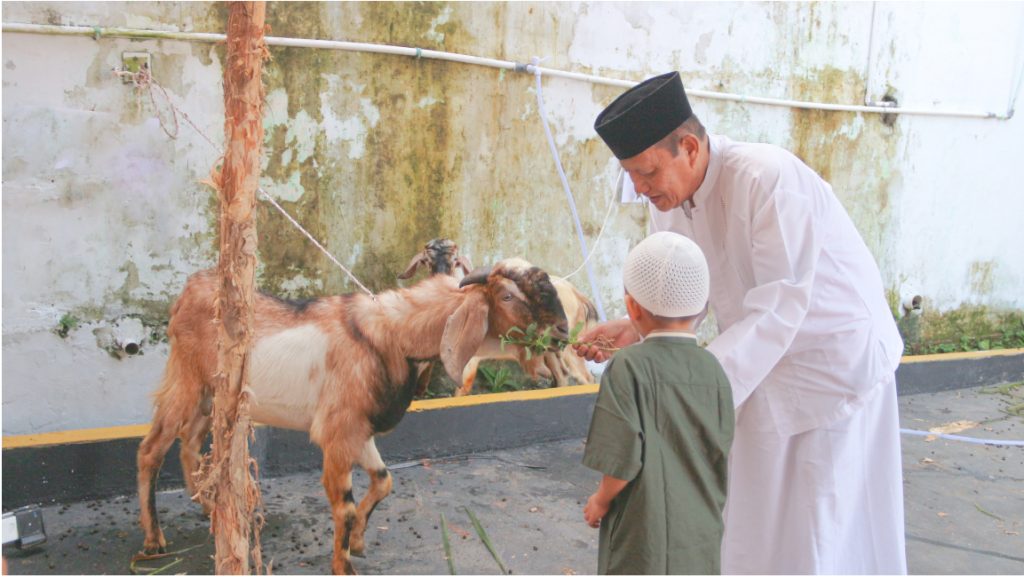 hewan qurban