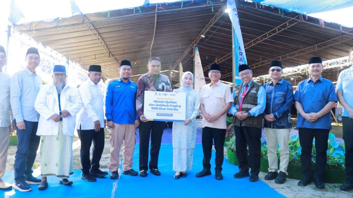 dt peduli