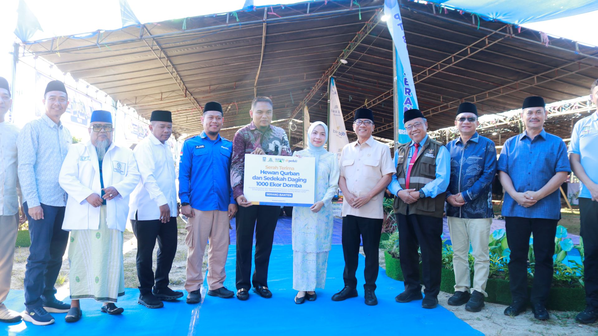 dt peduli