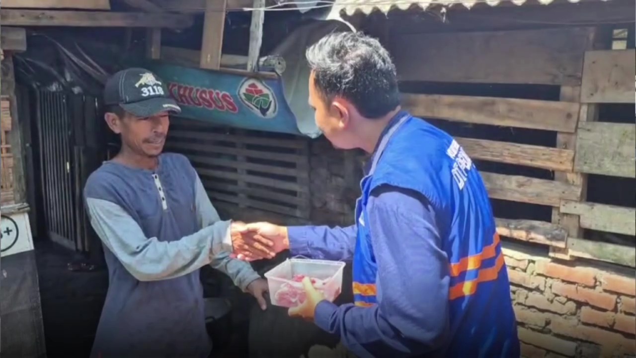 1000 ekor serang 5.jpg