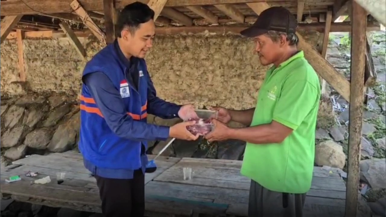 1000 ekor serang 6.jpg
