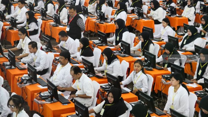 lapangan kerja