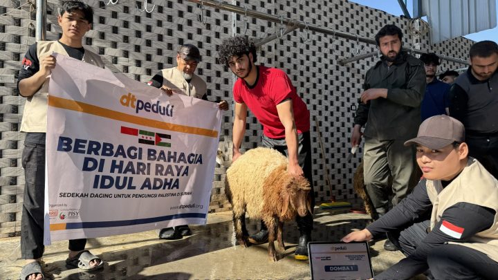 dt peduli