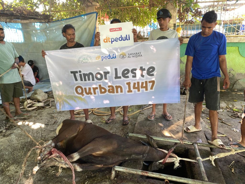 dt peduli